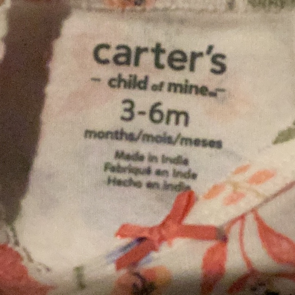 Carter's Blue and Pink Bodysuits Set for Infants - Picture 10 of 10